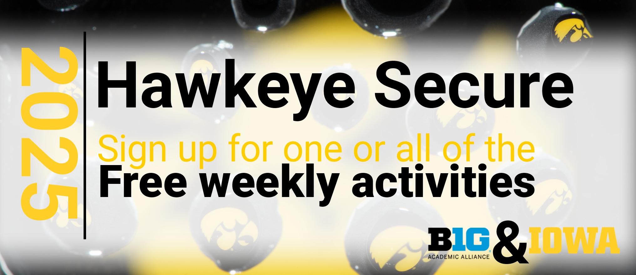 IOWA-B10 Hawkeye Secure image
